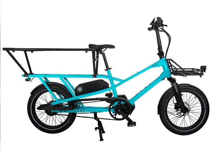 Electric family cargo bike best sale